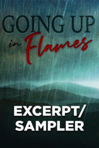 Going Up in Flames (Katie McCabe, Book 3) Excerpt