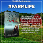 Quote from Rain Falling on Embers (Katie McCabe, Book 1) by Liana Gardner barn background