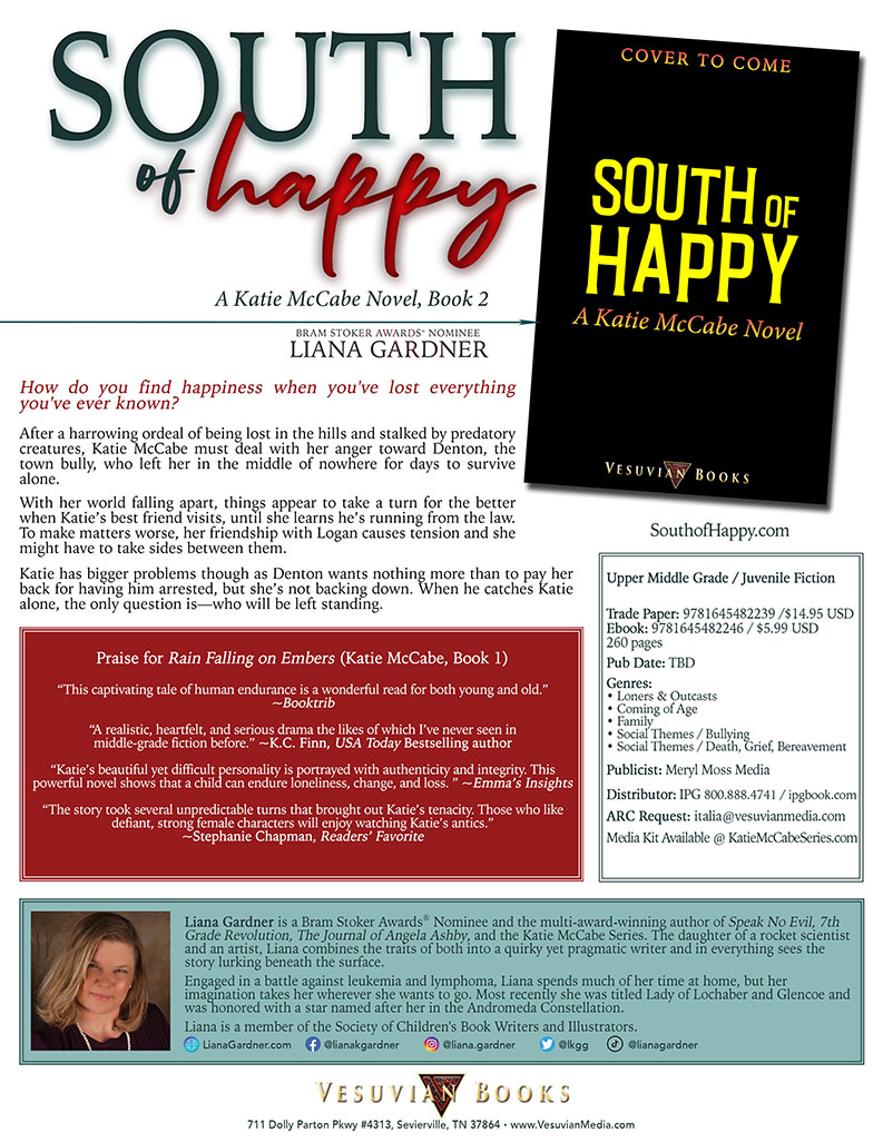 South of Happy (Katie McCabe, Book 2) Information Sheet